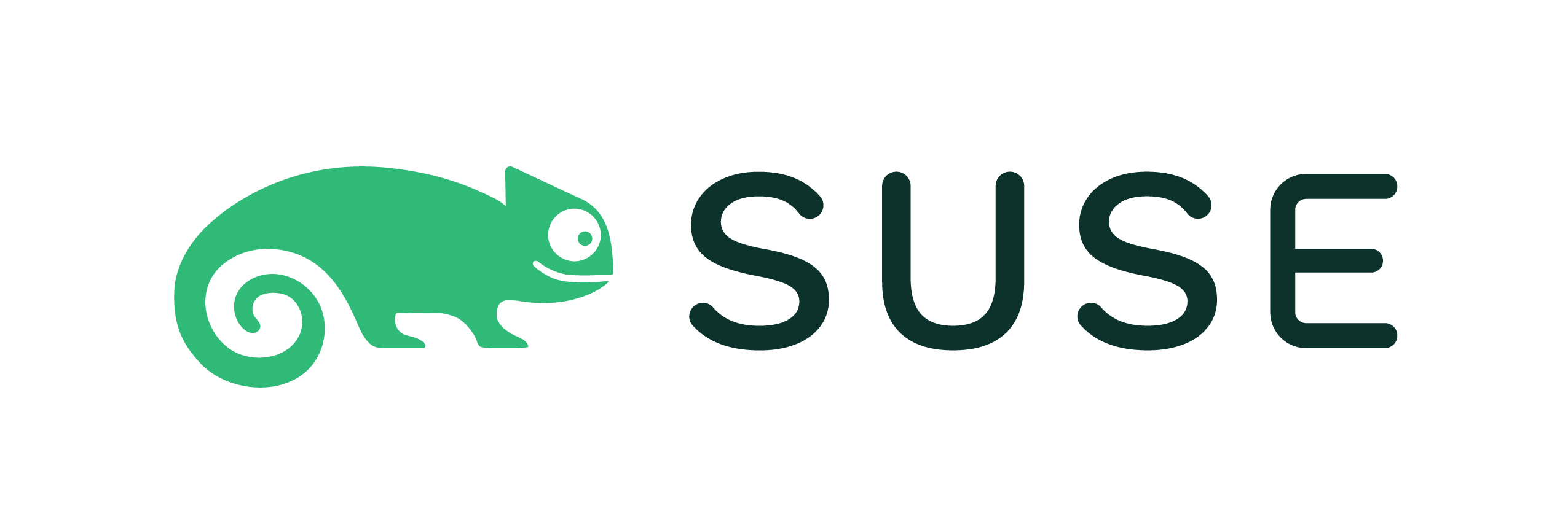 SUSE Software Solutions Germany GmbH_logo