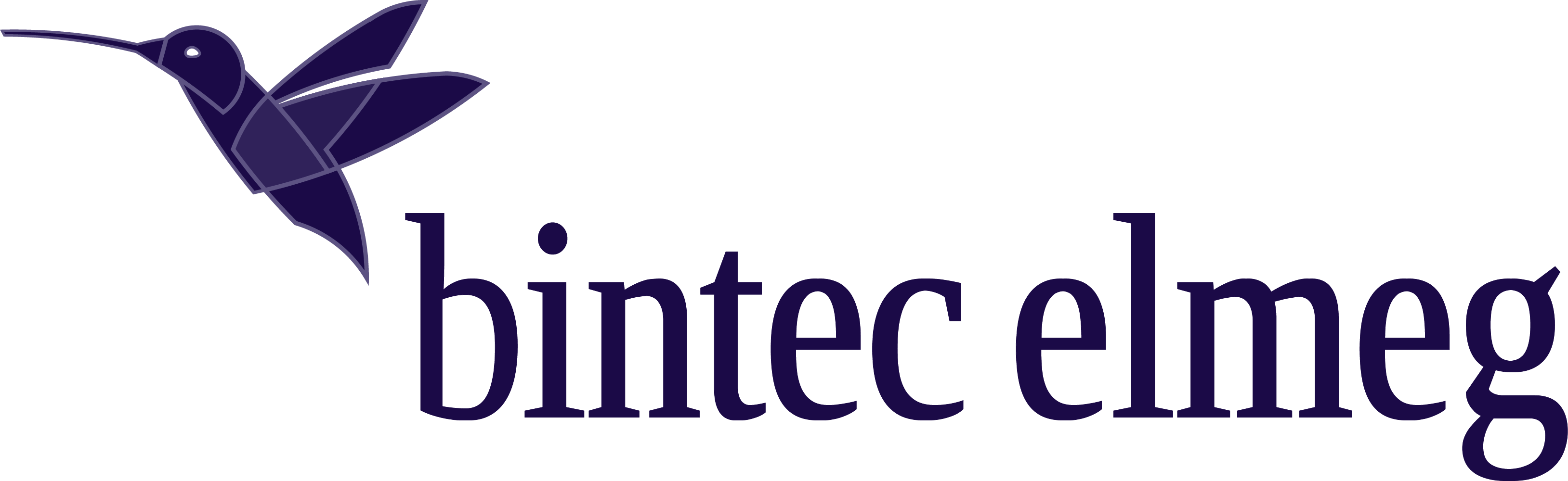 bintec elmeg GmbH_logo